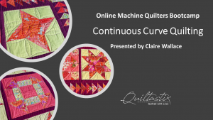 Continuous Curve Quilting